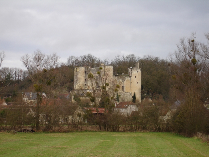 Le château vue de la route - Villentrois