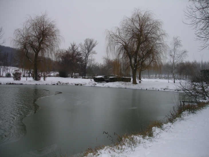 La planche Baron en hiver - Villentrois