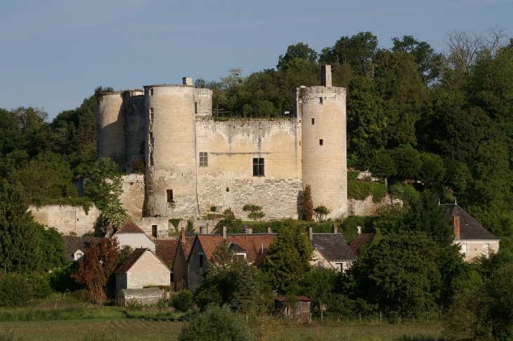 Une première forteresse est édifiée à Villentrois au XII° siècle. Ce château fort appartient au dispositif défensif des comtes d'Anjou.  Pendant deux siècles, le château appartient aux descendants d'une des plus grandes figures du Moyen-Age, Foulque-Nerra