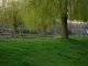 Photo précédente de Villentrois Le heron cendre à l'étang