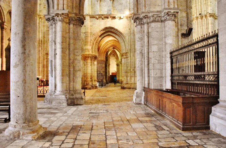 Cathédrale Saint-Louis - Blois