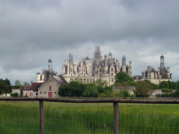 Vue sur l'arrière du château - Chambord