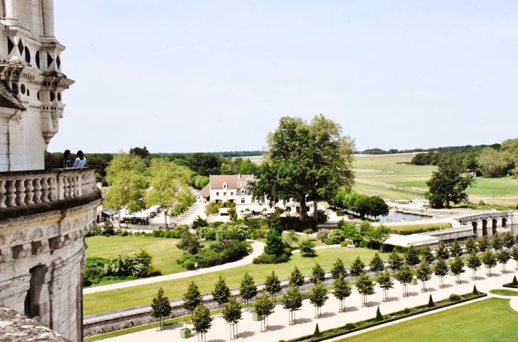 Parc du Château - Chambord