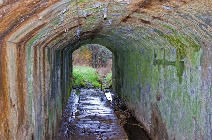 Châtillon-sur-Cher (Loir-et-Cher) La Rouère.  Tunnel sous le canal du Berry.