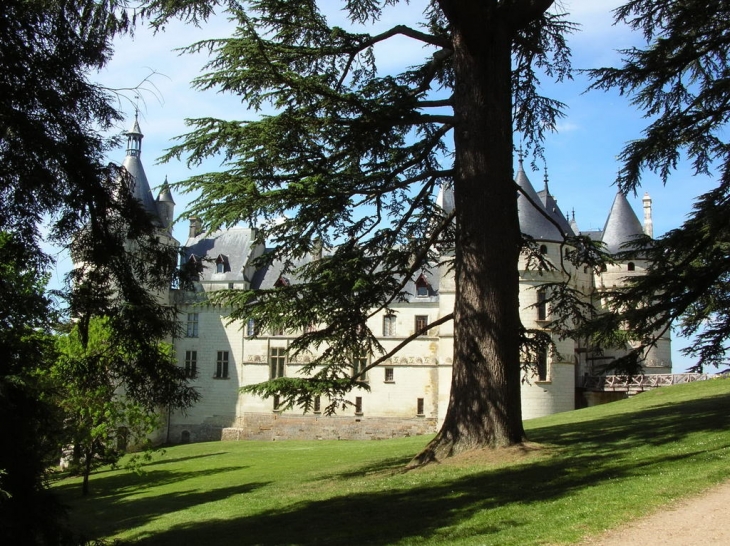 Chateau. - Chaumont-sur-Loire