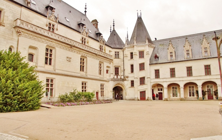 Le Château - Chaumont-sur-Loire