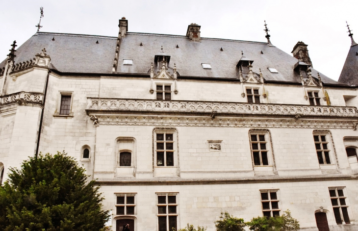 Le Château - Chaumont-sur-Loire