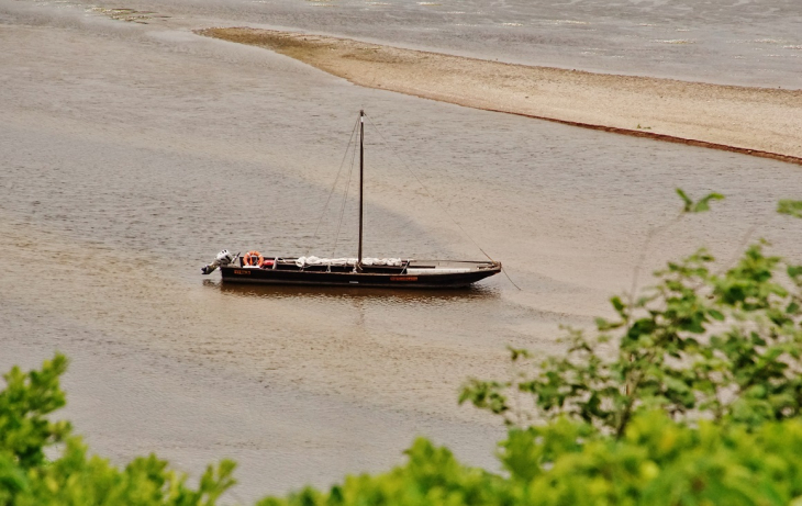 La Loire - Chaumont-sur-Loire