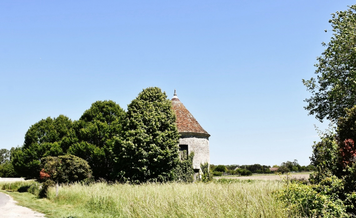 Le Château - Chémery