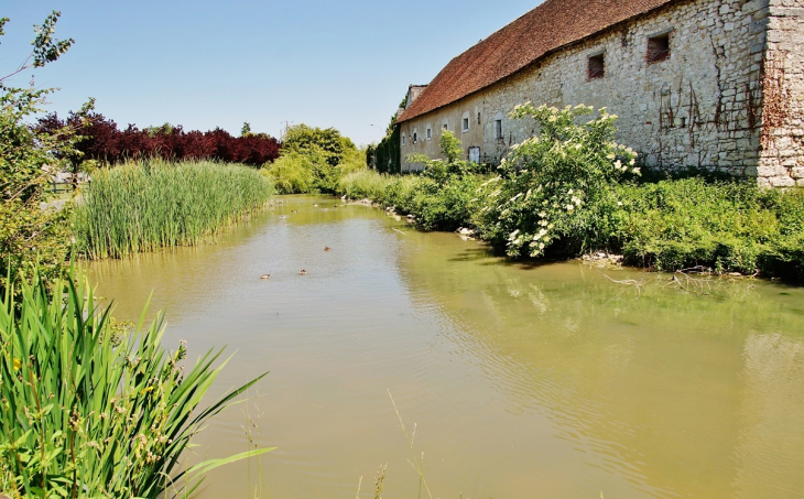 Le Château - Chémery