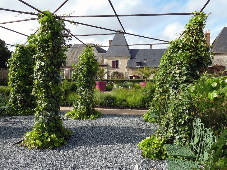 Le jardin et la salle des trophées - Cheverny