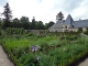 Photo suivante de Cheverny le jardin potager bouquetier