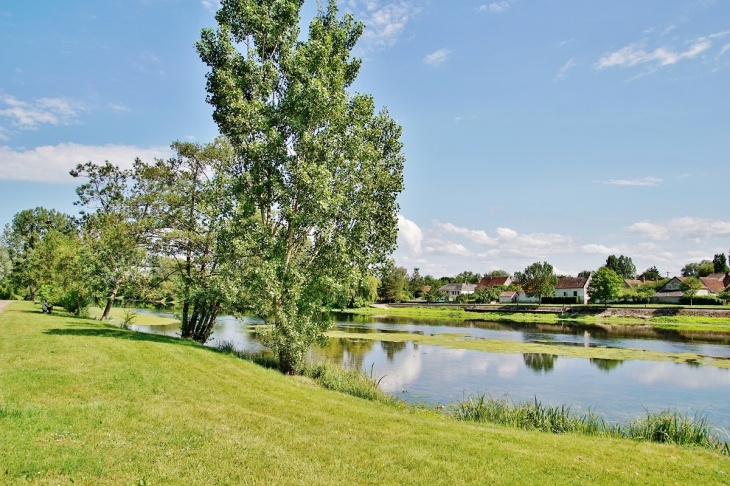 Le Cher - Chissay-en-Touraine