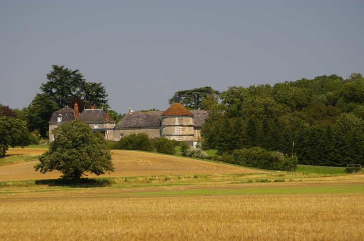 Entre Choussy et Couddes. Château de La Basme 