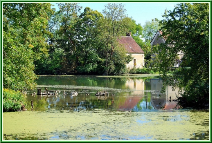 L'ile verte - Couture-sur-Loir