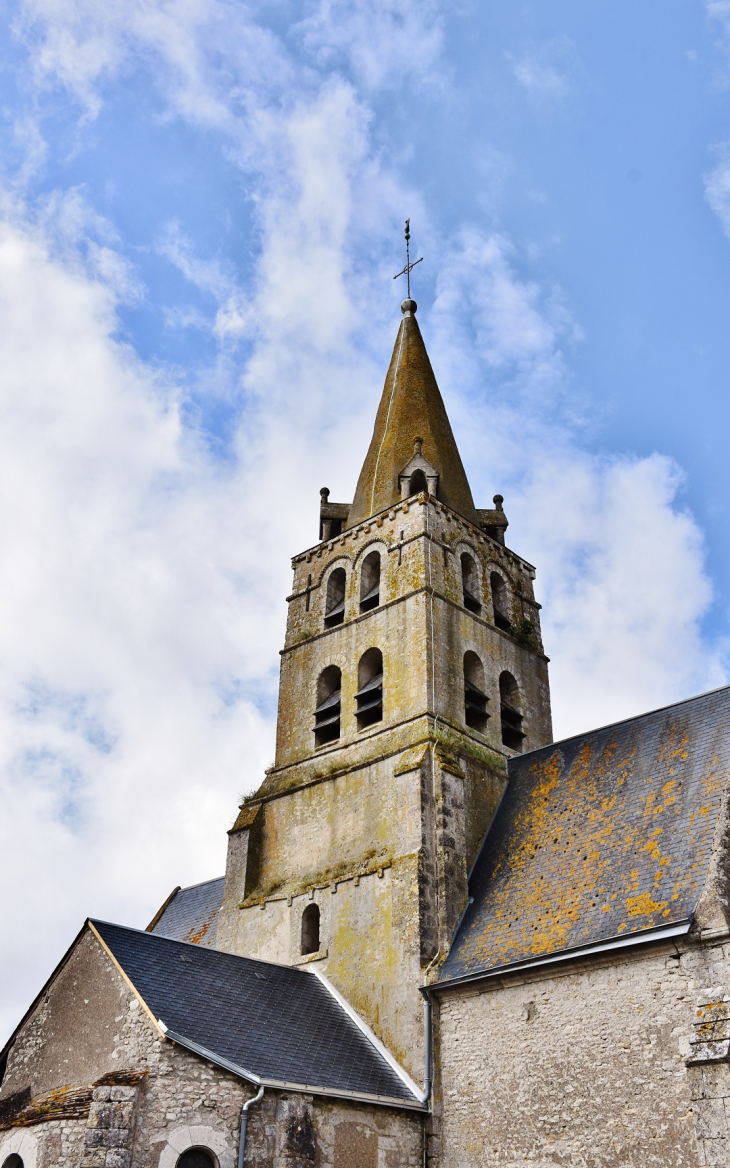  église Saint-Martin - La Chapelle-Saint-Martin-en-Plaine