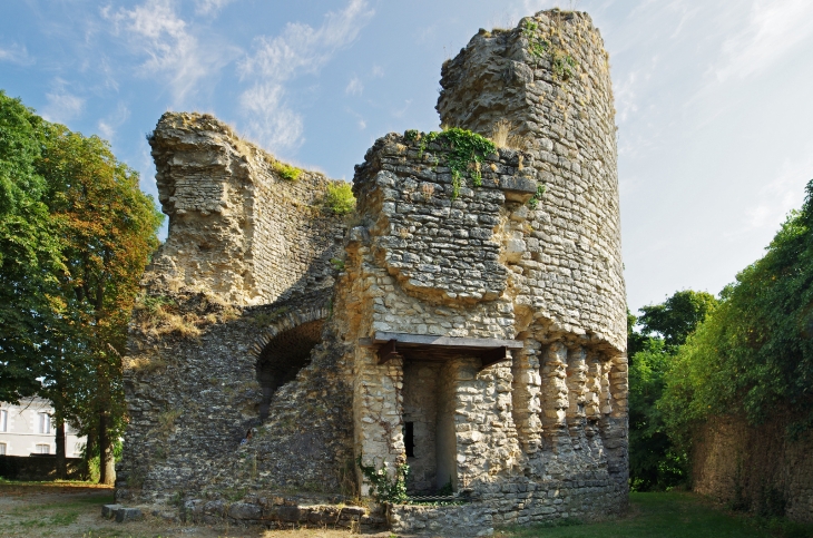 Le donjon de la forteresse fut édifié sous Thibault V dans les années 1160-1170. Il faisait partie d'un château détruit en 1675. - Les Montils