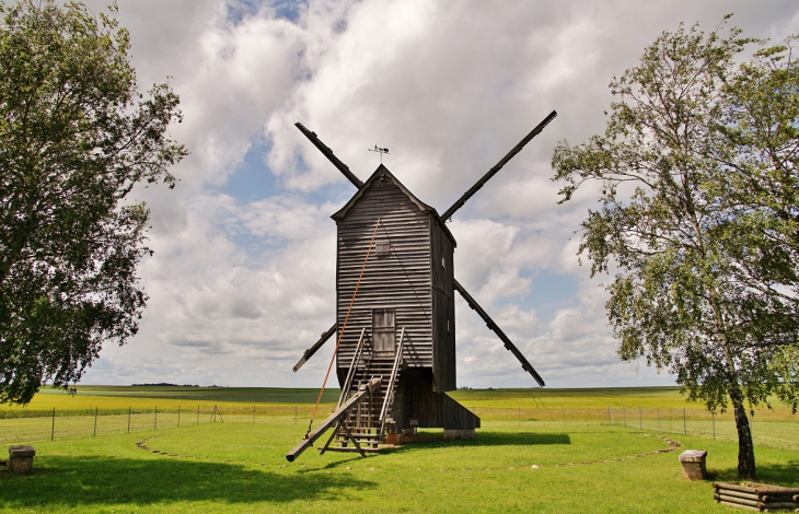 Le Moulin - Maves