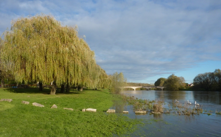 Bord du Cher - Mennetou-sur-Cher