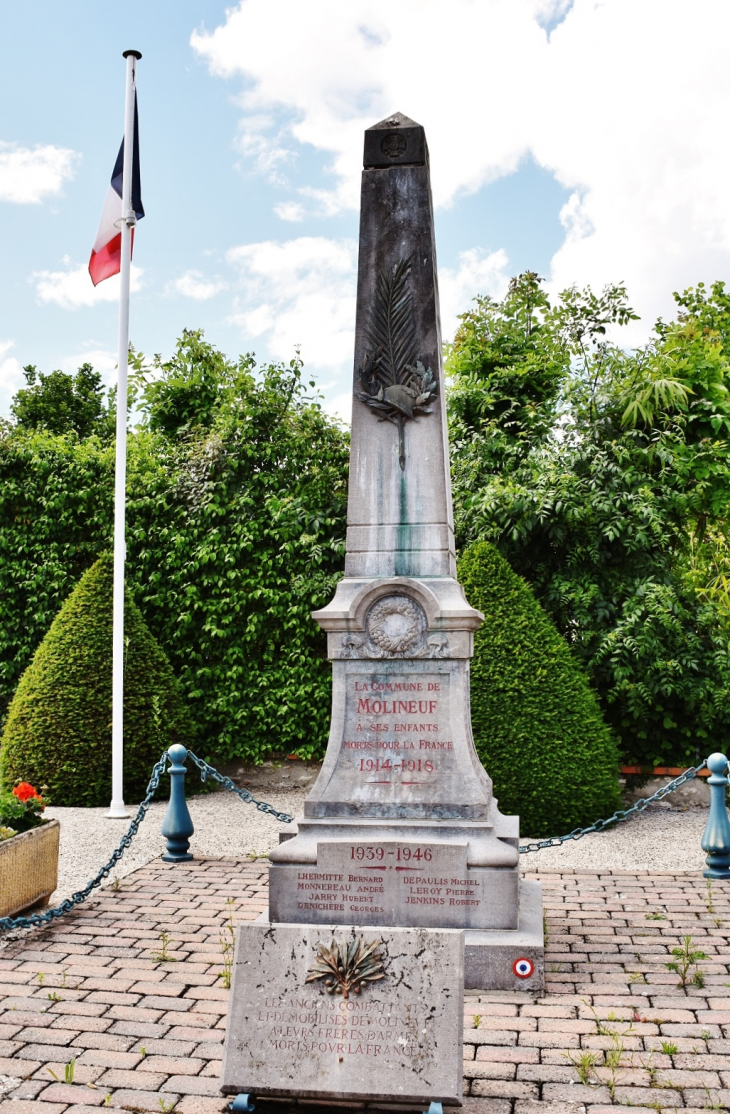 Monument-aux-Morts - Molineuf