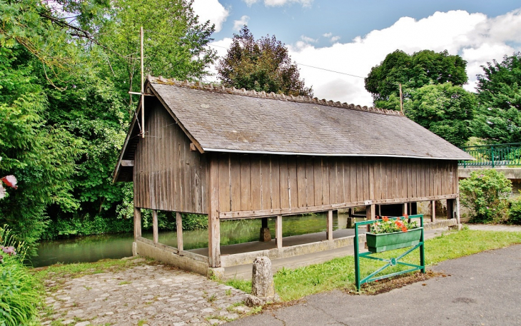 Le Lavoir - Molineuf