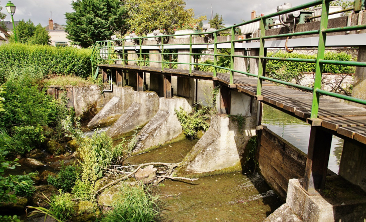 La Petite-Cisse - Monteaux