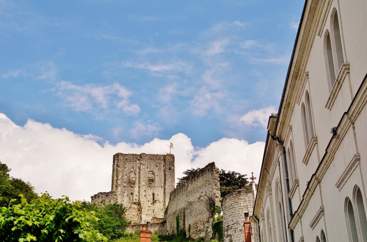 Le Donjon ( Ruines ) - Montrichard