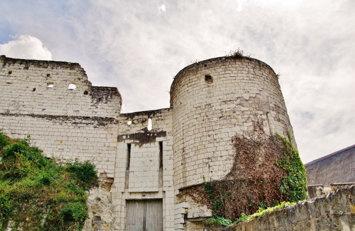 Le Donjon ( Ruines ) - Montrichard