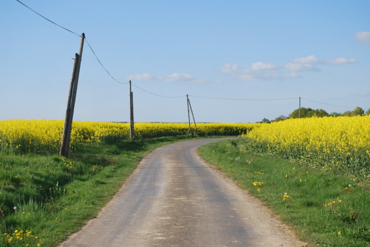 En sortant de Villebauttru - Saint-Agil