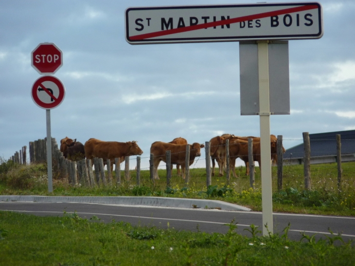 Sortie du village - Saint-Martin-des-Bois