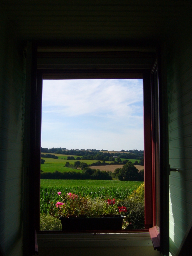 Vue par la fenetre - Sargé-sur-Braye