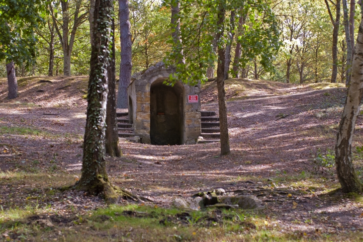 La fontaine Saint Genou. - Selles-Saint-Denis