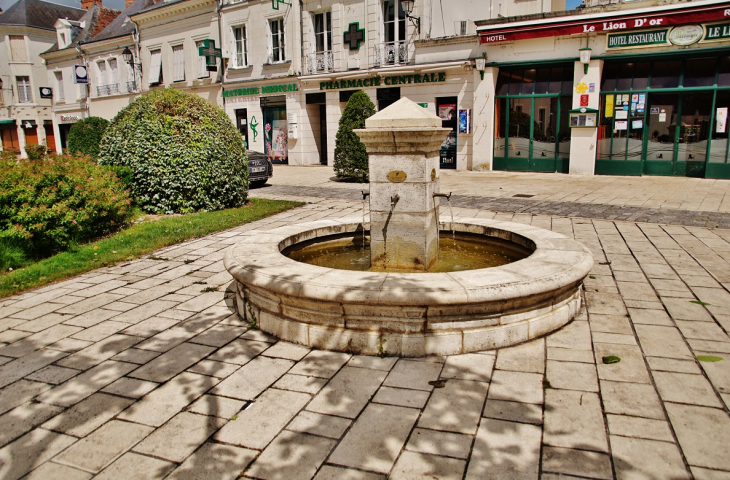 Fontaine - Selles-sur-Cher