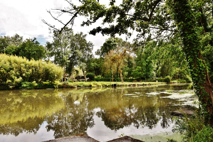 Le Beuvron - Seur