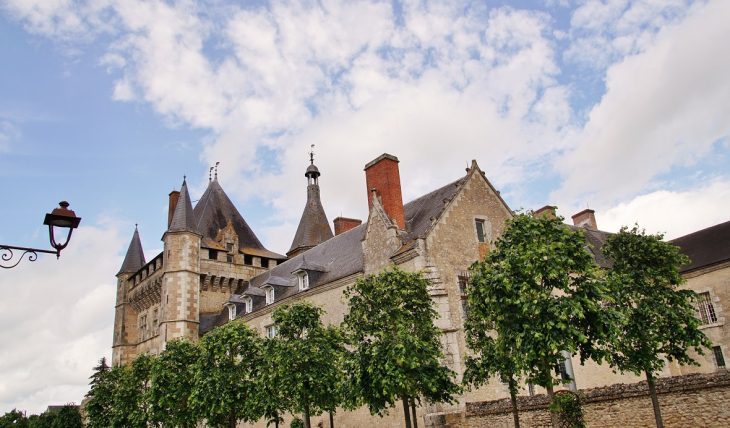 Le Château - Talcy