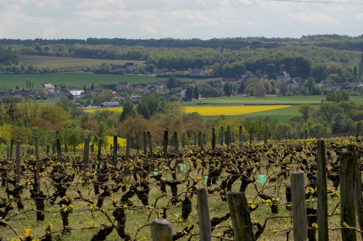 Les côteaux au dessus de Thésée, au printemps.