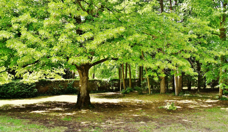 La Mairie  ( Le Parc ) - Thésée