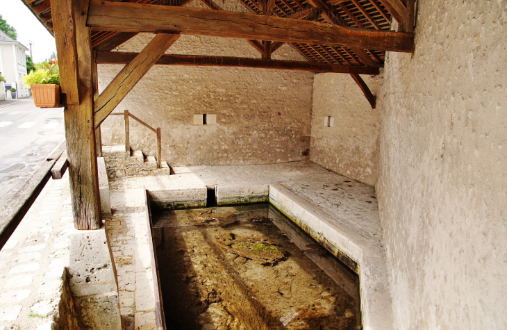 Le Lavoir - Vallières-les-Grandes