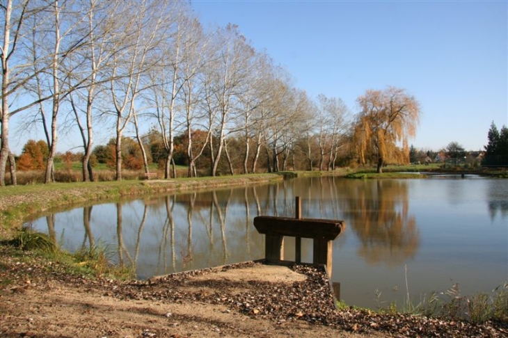 Etang de Vernou - Vernou-en-Sologne