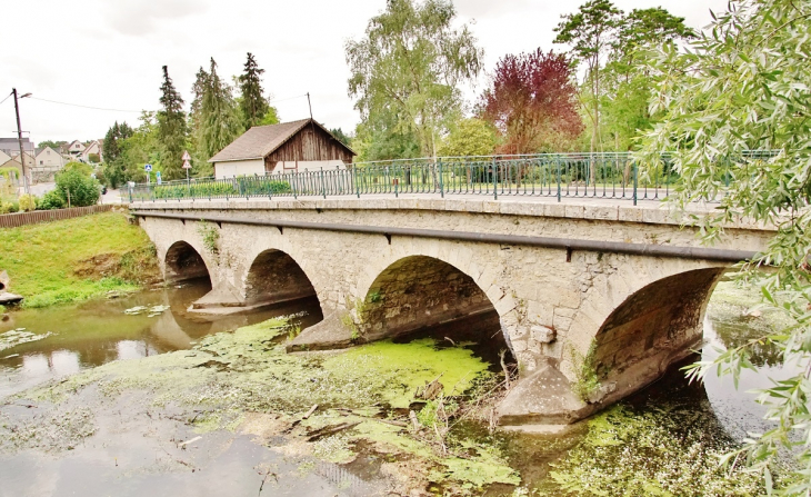 Pont-sur-le-Cosson - Vineuil