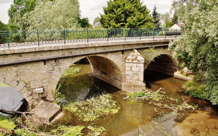 Pont-sur-le-Cosson - Vineuil