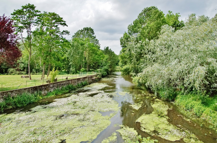 Le Cosson - Vineuil