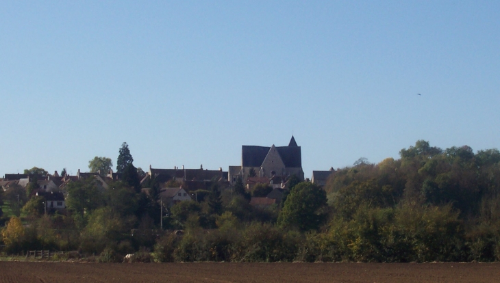 Beaulieu vue d'ensemble depuis la Loire - Beaulieu-sur-Loire