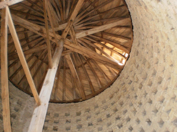 Topur pigeonnier - Boigny-sur-Bionne