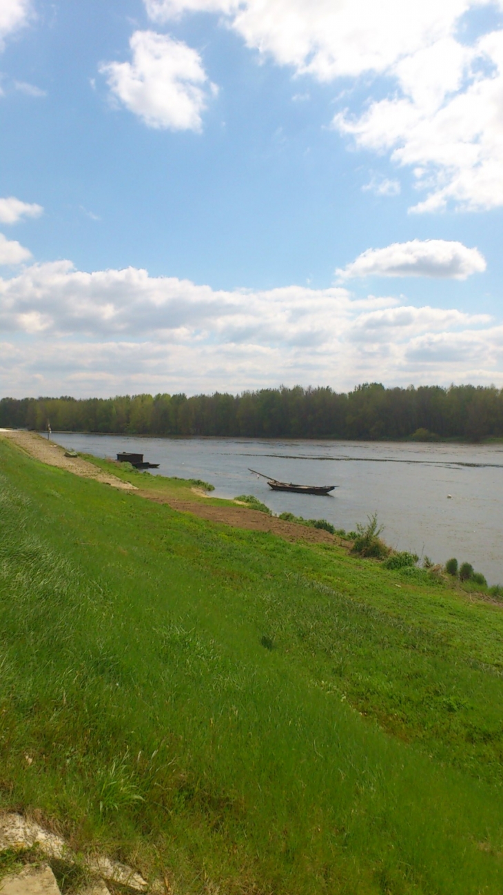 Bords de Loire près de Combleux photo Giliane Kaltenbach