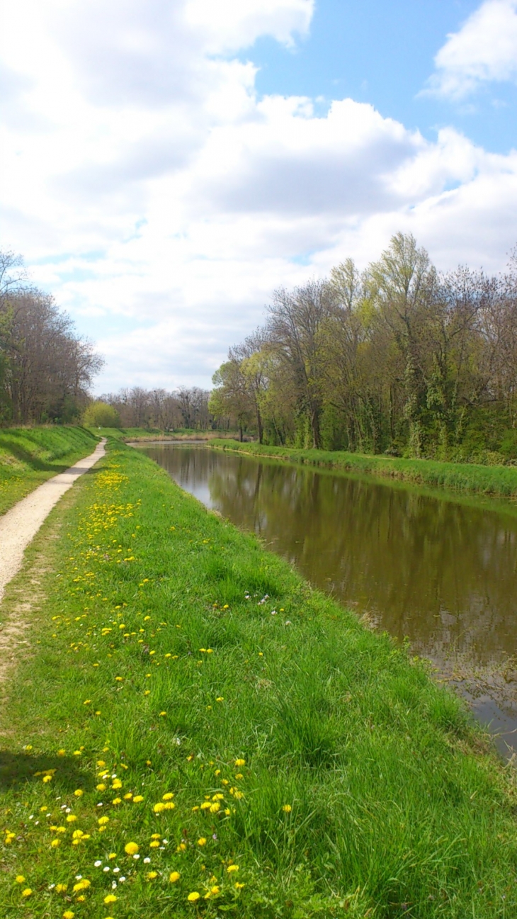 Canal et promenade photo Giliane Kaltenbach - Combleux