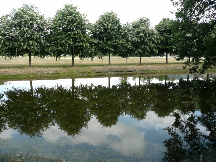 REFLETS DANS LES DOUVES DU CHATEAU - La Ferté-Saint-Aubin