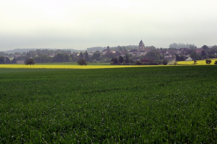 Melleroy dans la brume