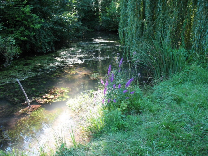 LES MARAIS DE MEUNG - Meung-sur-Loire