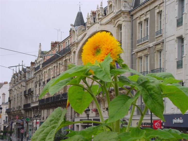 Rue de la République Orléans